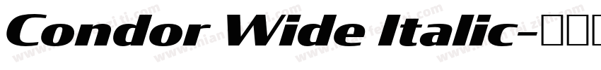 Condor Wide Italic字体转换